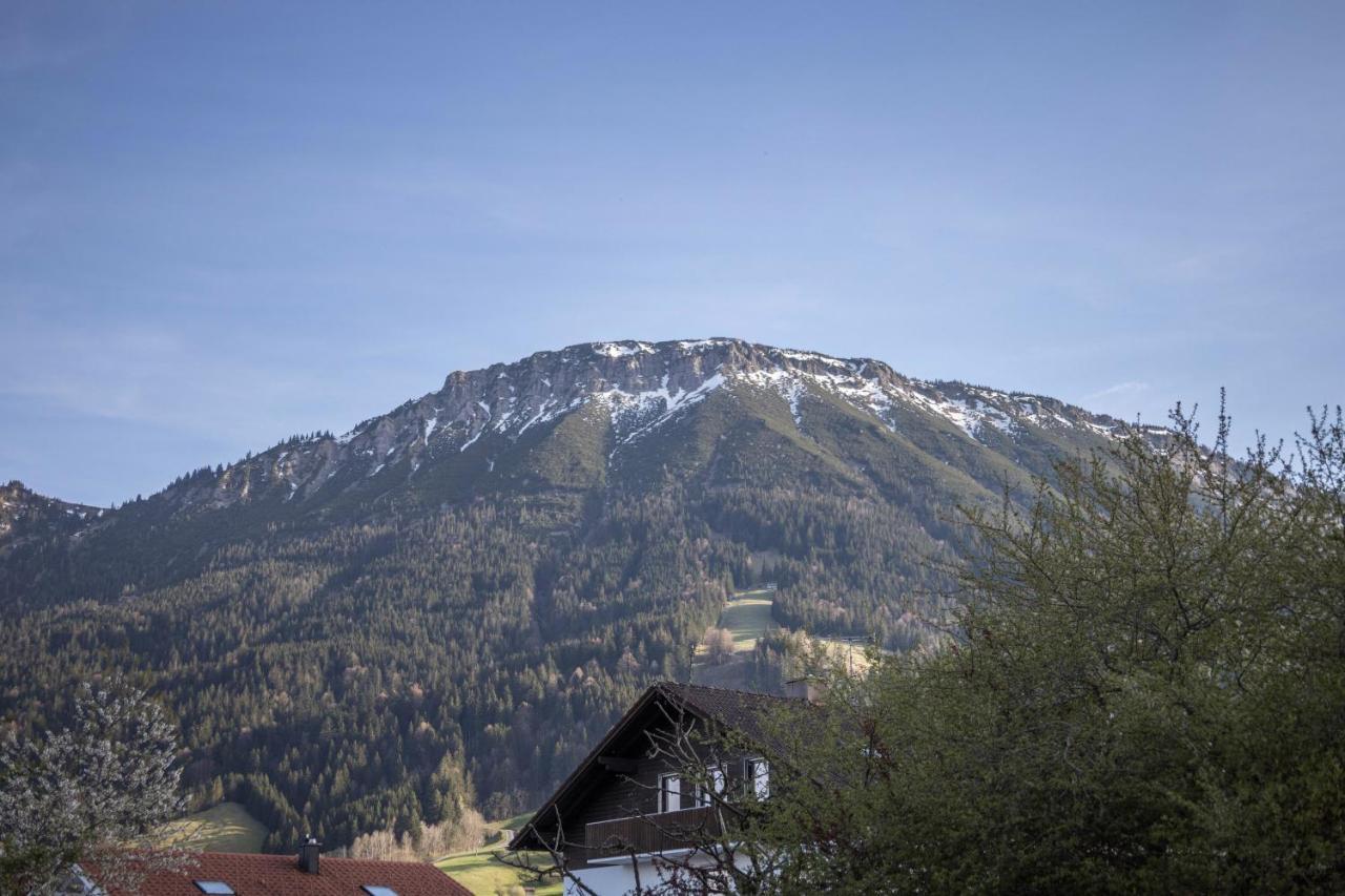 Haus Bergliebe - Zugspitzblick Pfronten Extérieur photo